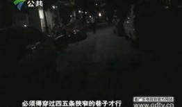 王先生深圳最新爆料,揭秘深圳最新动态与热点事件